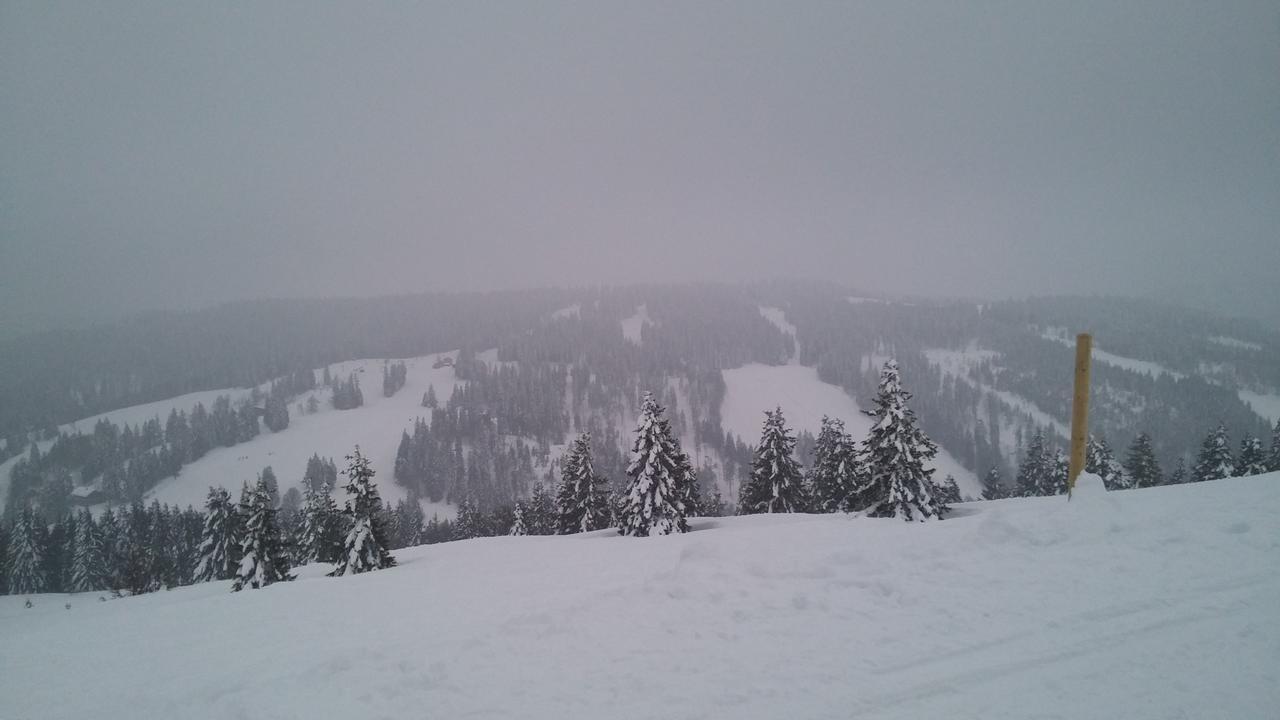 'S Jaegermatt Bed and Breakfast Feldberg  Εξωτερικό φωτογραφία