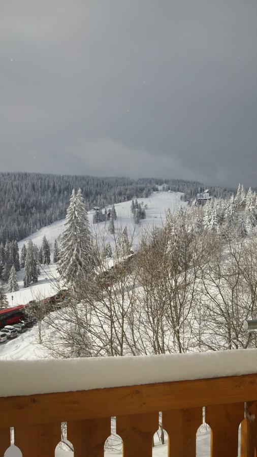 'S Jaegermatt Bed and Breakfast Feldberg  Εξωτερικό φωτογραφία